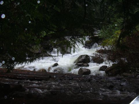 1991 Ford Bronco - The river as we crossed the old wood bridge on The Lake Isabel Trail