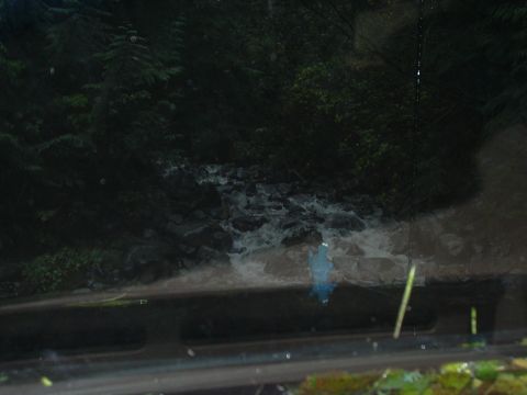 1991 Ford Bronco - The trail became an uphill river at this point so we turned around.