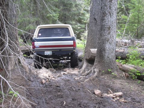 1991 Ford Bronco - 1991 Ford Bronco navigating a rough, muddy path through a forest.
