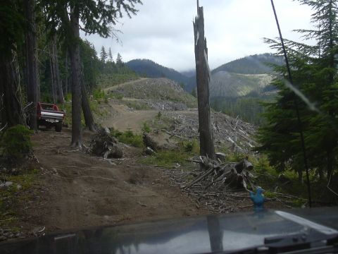 1991 Ford Bronco - A red pickup truck is parked on a dirt road in a logged area with mountains in the background.
