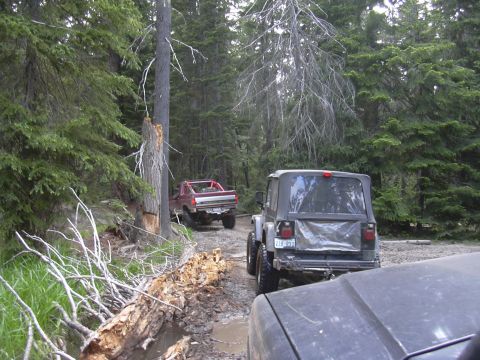 1991 Ford Bronco - Off-roading through a wooded area with muddy conditions and obstacles.