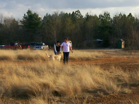1993 Ford Bronco - Several vehicles are parked in a field with people and a dog walking through tall grass.