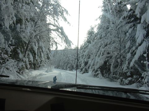 1991 Ford Bronco - The view from inside a vehicle driving on a road covered in snow, surrounded by snow-laden trees.