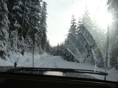 1991 Ford Bronco - Driving through a snow-covered forest road, the sun glares through the trees and trees are visible on the windshield.