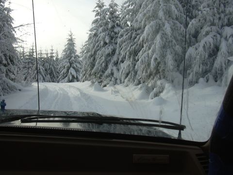 1991 Ford Bronco - Driving through a snow-covered forest road, the view from inside the vehicle shows trees laden with snow.