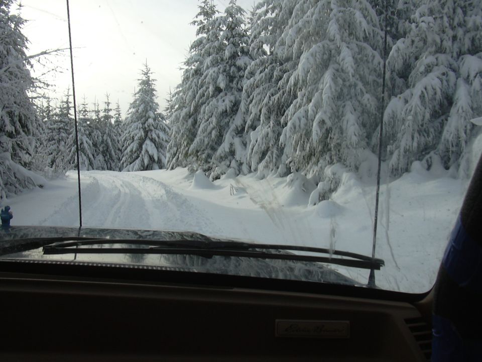 Interior view of a vehicle on a snowy forest road