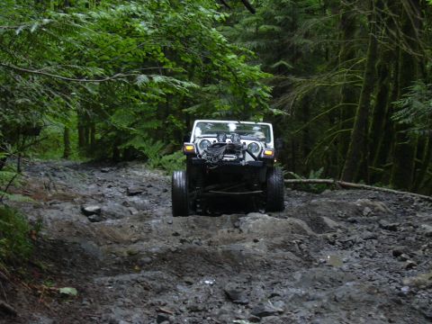 1991 Ford Bronco - A white Jeep Wrangler navigates a challenging muddy and rocky path in a lush green forest.