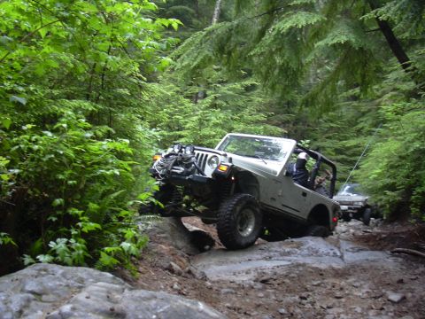 1991 Ford Bronco - Two Jeeps navigate a rocky path through a dense forest with lush green foliage.