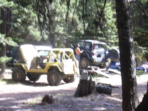 1991 Ford Bronco - Modified off-road vehicles are parked in a wooded area, possibly at a campsite or event.