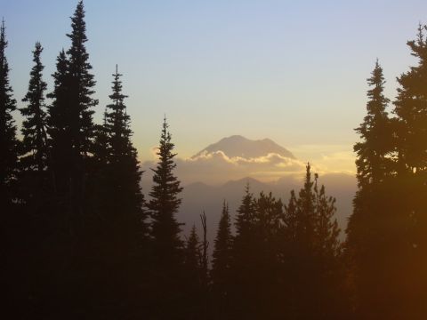 1991 Ford Bronco - A mountain range is visible through a forest of evergreen trees as the sun sets, casting a warm glow on the clouds.