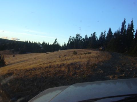 1991 Ford Bronco - A lone off-road vehicle sits on a dirt path surrounded by trees and dry grass under a clear sky.