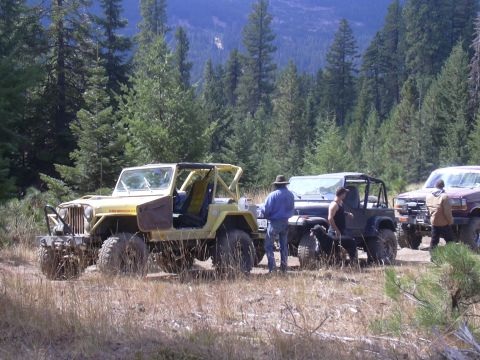 1991 Ford Bronco - Several off-road vehicles are parked in a wooded area with people and a dog present.