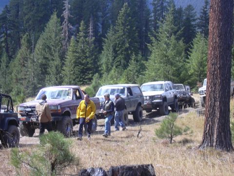 1991 Ford Bronco - A group of off-road vehicles, including a 1991 Ford Bronco, are parked in a wooded area during an event.