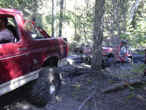 1991 Ford Bronco - Two off-road vehicles are deeply stuck in mud on a wooded trail, with one vehicle appearing to be a Ford Bronco and the other a Jeep.