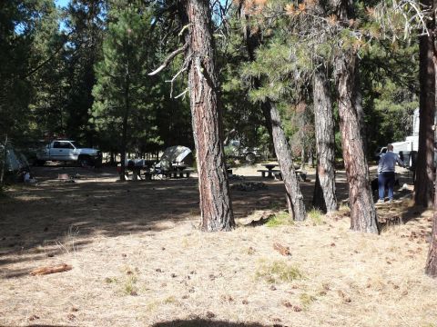 1991 Ford Bronco - A campsite scene with a pickup truck and tents set up among pine trees.