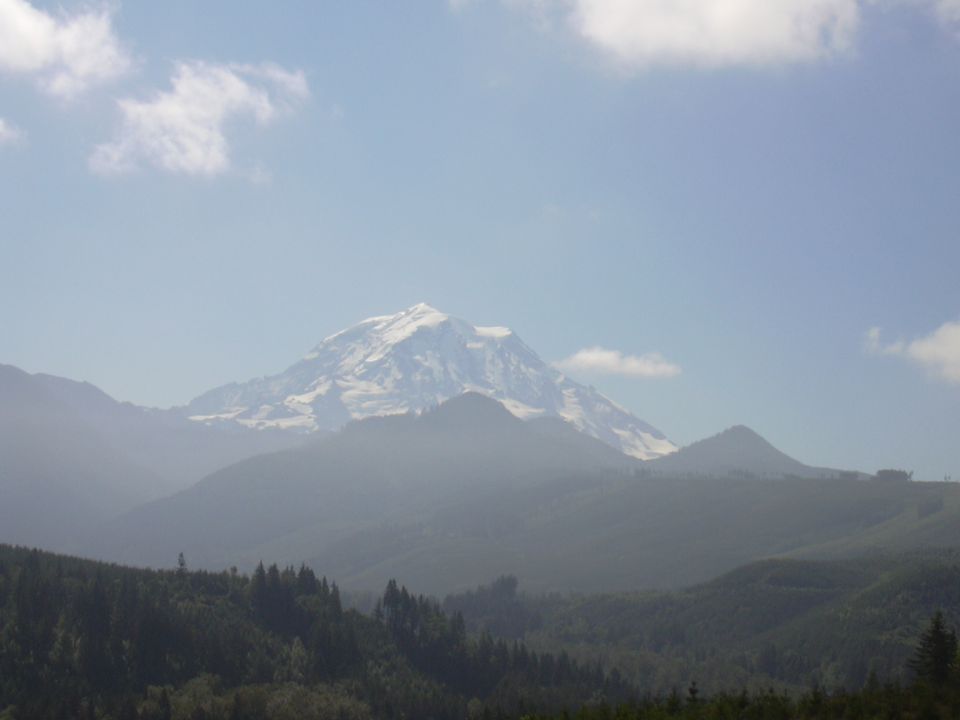 Snow-capped mountain peak above forested foothills