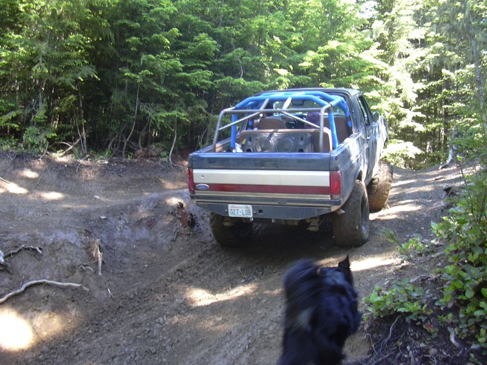 Ford pickup truck with roll cage driving on a dirt trail in the woods. Dog in foreground
