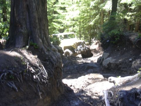 1991 Ford Bronco - A Jeep navigates a challenging muddy path in a dense forest.