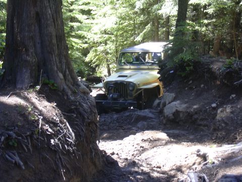 1991 Ford Bronco - Yellow Jeep Wrangler tackles a challenging off-road trail through a wooded area.