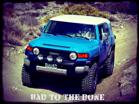 2007 Toyota FJ Cruiser - This blue 2007 Toyota FJ Cruiser with a white roof and auxiliary lights is captured on a dirt road, its off-road capability.