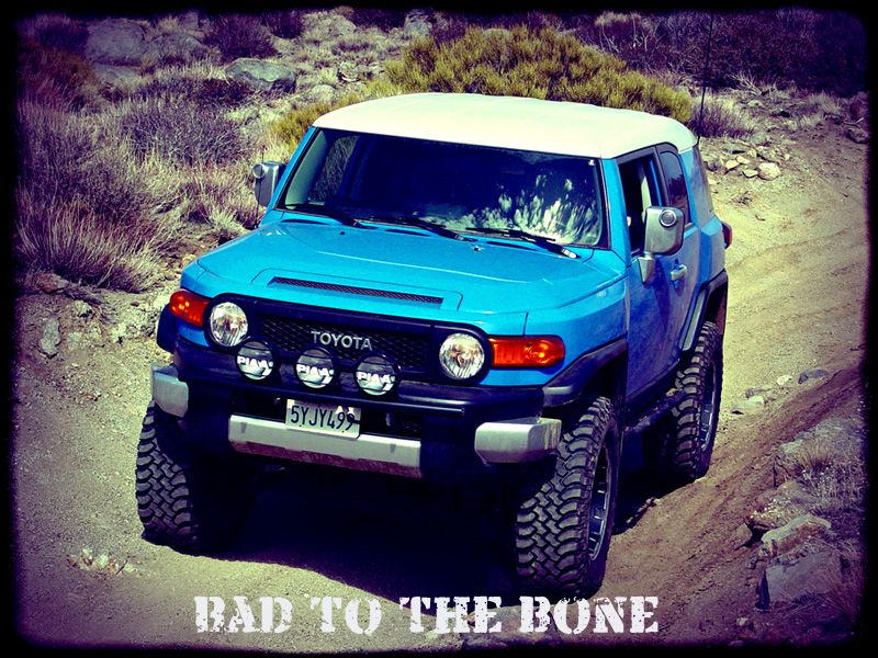 Blue Toyota FJ Cruiser with white roof and PIAA lights on a rocky dirt trail