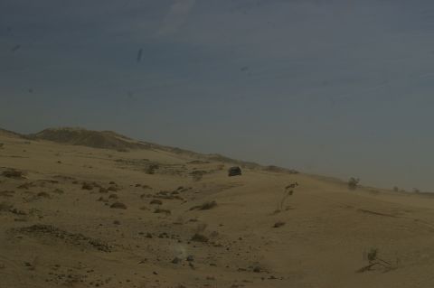 1986 Ford Bronco - Two vehicles traverse a sandy desert landscape with sparse vegetation and rolling hills.