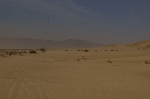 1986 Ford Bronco - A vast desert scene unfolds with tire tracks marking the sandy terrain, leading towards distant mountains.