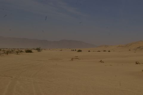 1986 Ford Bronco - Multiple vehicles traverse a vast desert landscape under a hazy sky, with distant mountains forming the horizon.