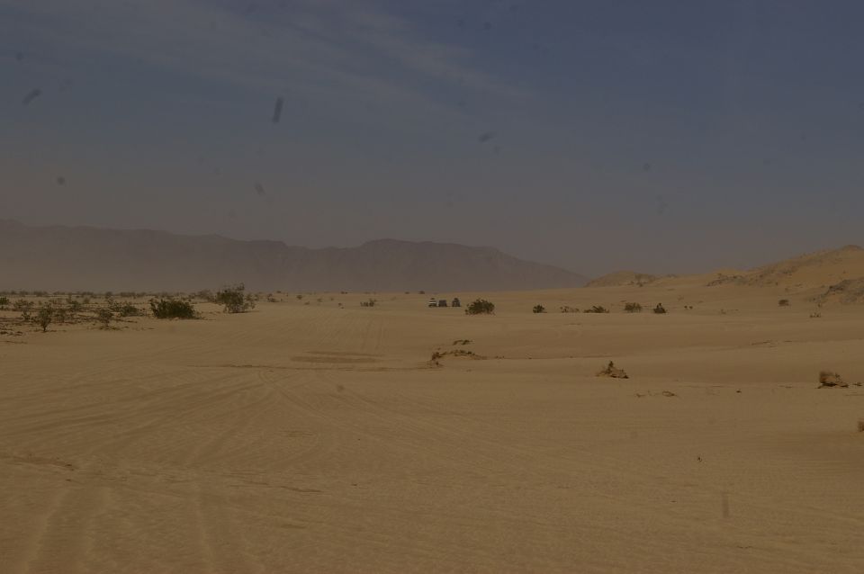 Several off-road vehicles drive across a sandy desert with mountains in the background