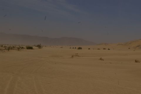 1986 Ford Bronco - Multiple off-road vehicles traverse a vast desert landscape under a hazy sky.