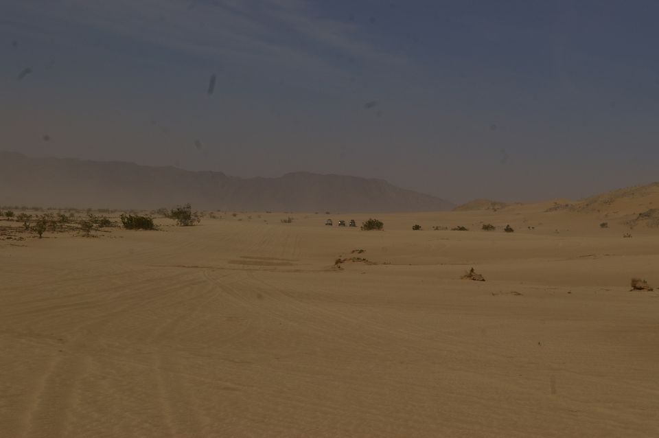 Desert landscape with several off-road vehicles driving in the distance