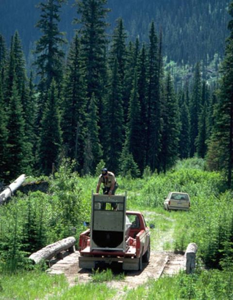 1974 Ford Ranchero - A man stands atop a structure loaded into the bed of a red pickup truck on a dirt road surrounded by trees.