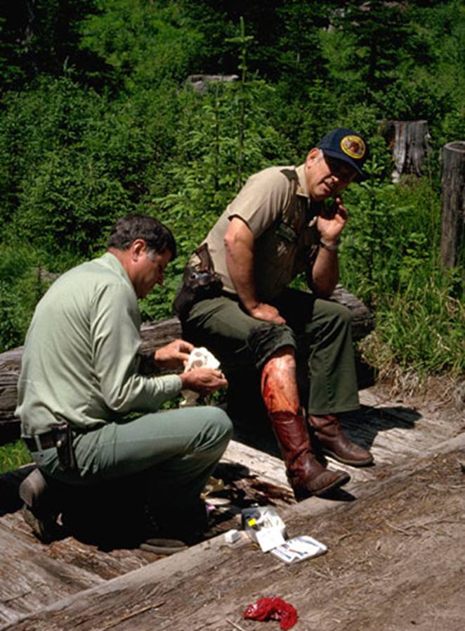 Park rangers in uniform, one with a bloody leg wound, outdoors