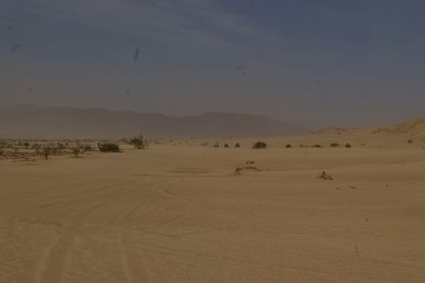 1986 Ford Bronco - A group of off-road vehicles drives across a vast, dusty desert landscape under a hazy sky.