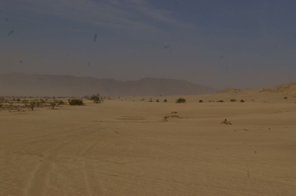 Several off-road vehicles traverse a sandy desert with sparse vegetation and distant mountains