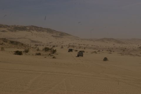 1986 Ford Bronco - Multiple SUVs traverse a sandy desert landscape, kicking up dust as they drive.