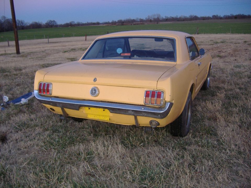 Yellow 1965 Ford Mustang coupe parked in a grassy field