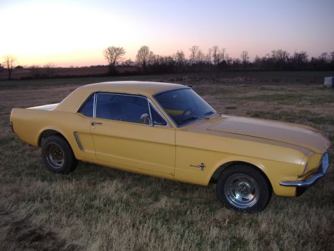 1987 Ford Crown Victoria LTD - A yellow 1965 Ford Mustang coupe with a hardtop sits in a grassy field at dusk.