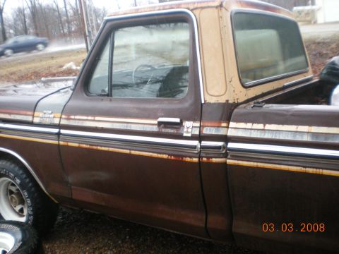 1978 Ford F-150 photo