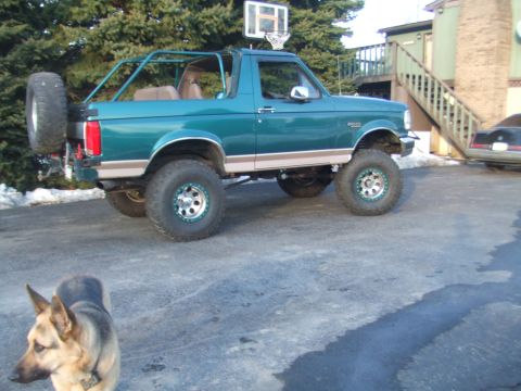 1996 Ford Bronco - A lifted green Ford Bronco is parked outside a building with a dog in the foreground.
