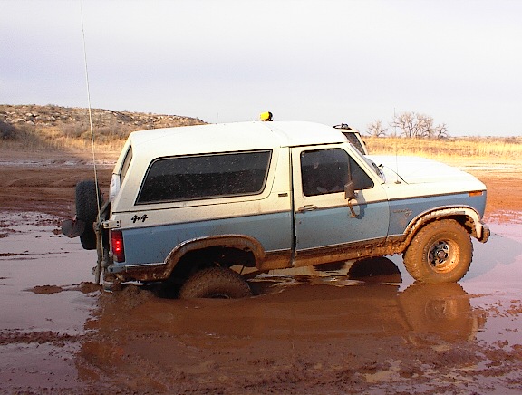1981 Ford Bronco “maniac”