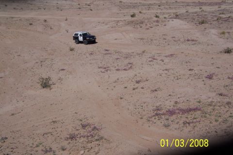 1990 Ford Bronco - 1990 Ford Bronco navigates a desert landscape with scattered wildflowers.