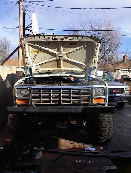 1981 Ford Bronco photo