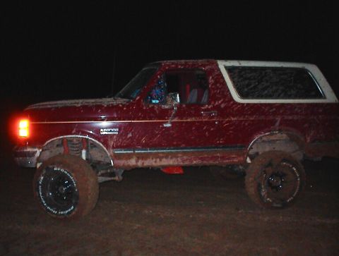 1981 Ford Bronco photo