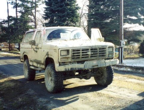 1982 Ford Bronco photo