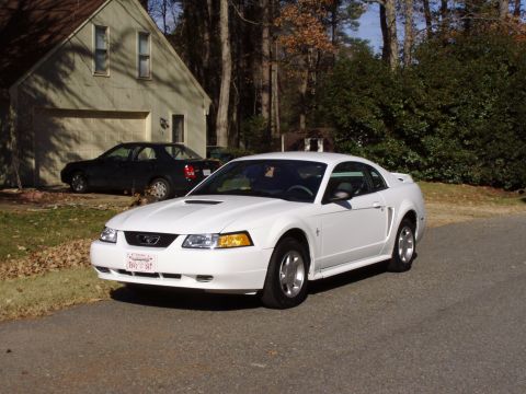 2000 Ford Mustang “AnnaMarie”