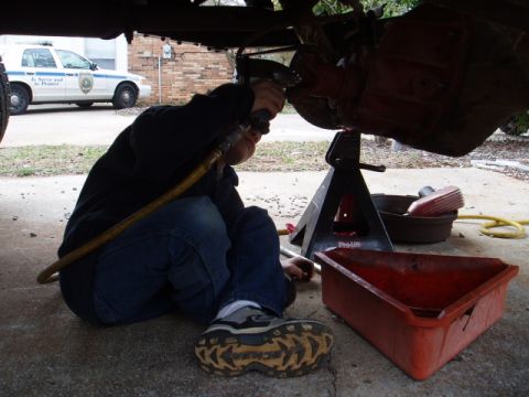 1980 Ford Bronco - A few pics of my helper working on the 9 inch, getting ready to install gears and locker.