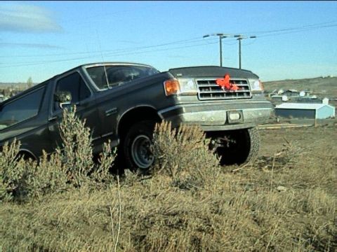 1989 Ford Bronco - This Ford Bronco is parked on a grassy incline, with a red bow adorning its front grille.