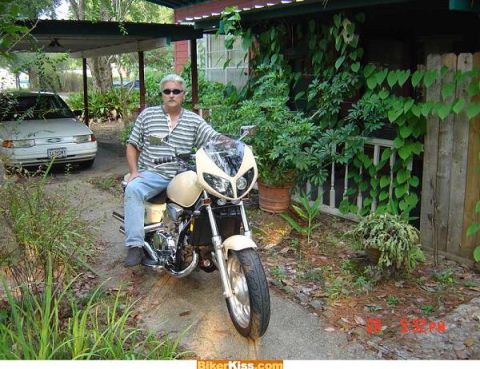2005 Harley-Davidson Sportster photo