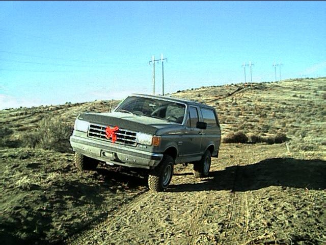 Gray SUV with red bow on grille, driving off-road